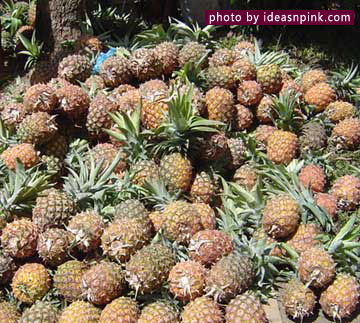 Sweet pineapples outside the Don Salvador Benedicto House - Panaad Festival, Negros Occidental