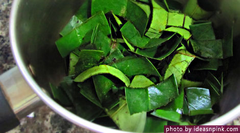 Graviola tea leaves preparation for boiling in pot