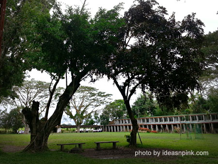 St. Francis of Assisi School, Silay City, Negros Occidental