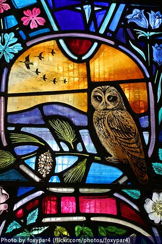 Stained glass window depicting local wildlife at the southern entrance of Dornoch Cathedral - photo by foxypar4 (flickr.com/photos/foxypar4)