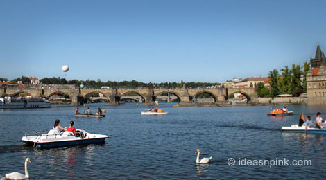 What are your travel plans for 2013?